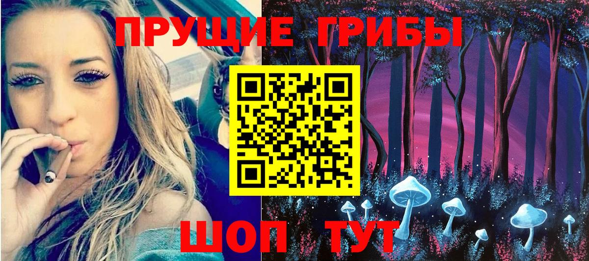Псилоцибиновые грибы GOLDEN TEACHER  купить наркоту  Валуйки  Вход с VPN 